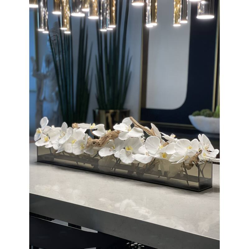 36 Inch Casa Moderna Black Tinted Glass Plate Planter with white Phalaenopsis orchids