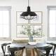 10.25" Metal Cage Pendant Light with 72" Height Adjustable Wire - N/A
