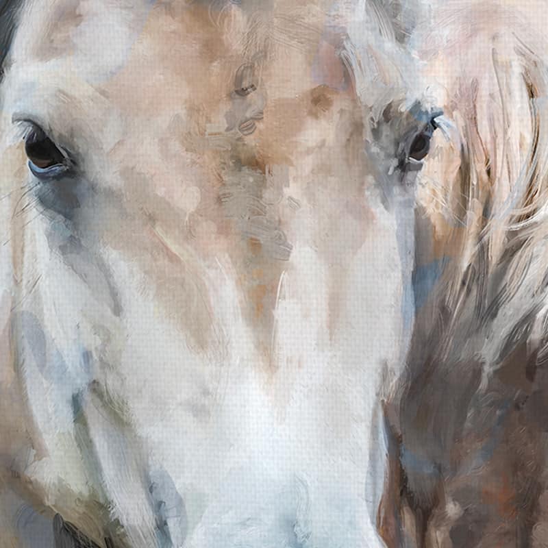 Brothers by Studio Arts Canvas Art Print