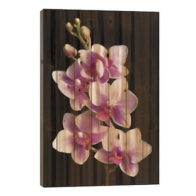 USA, California, Los Osos of orchids. Print On Wood by Jaynes Gallery - Multi-Color