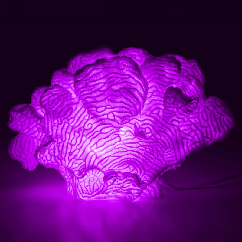 Aria Home Coral Cloud Table Lamp Sculpted Sandstone Accent Lighting