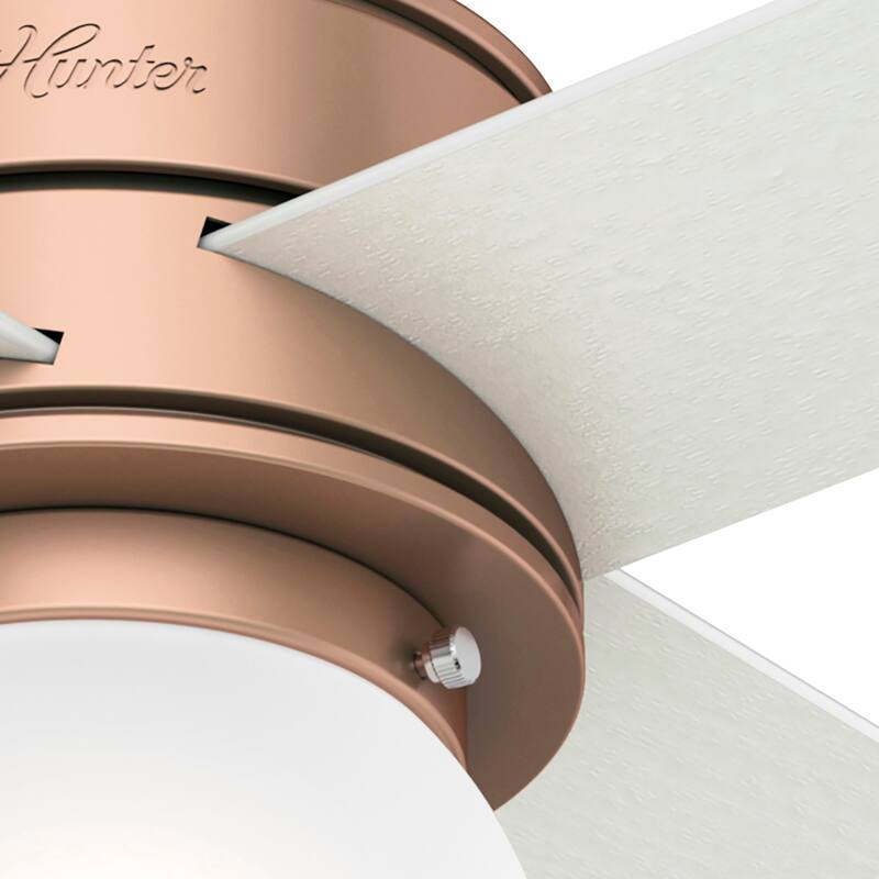 Hunter 52" Hepburn Ceiling Fan with LED Light Kit and Wall Control - Vintage, Mid-Century Modern, Transitional