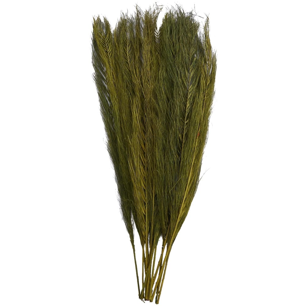 Dried Plant Feather Like Leaves Floral Bouquet Home Decor Natural Foliage with Stems - White, Brown, Green - Roche River Decor