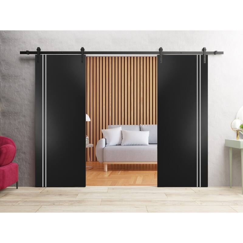 Sturdy Double Barn Door 36 x 80 with Planum 0310 Matte Black with 13FT