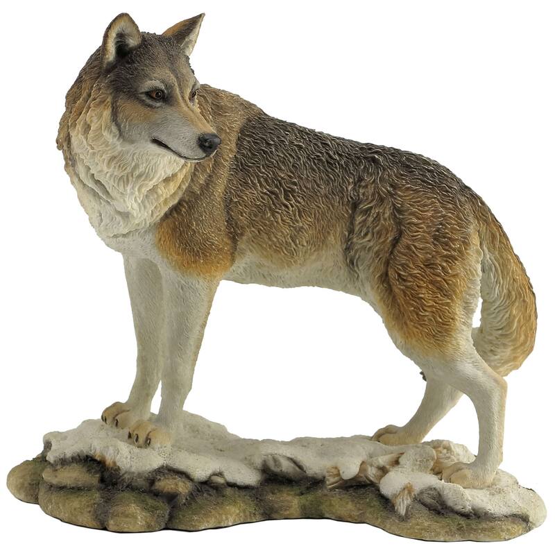 Veronese 9.7L Lone Wolf Resin Multicolor