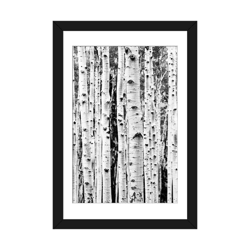 iCanvas "Birch In Black & White" by Sisi & Seb PFA - Black - 32x24x1