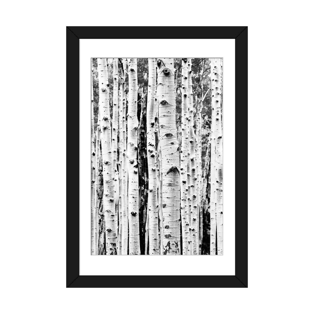 iCanvas "Birch In Black & White" by Sisi & Seb PFA