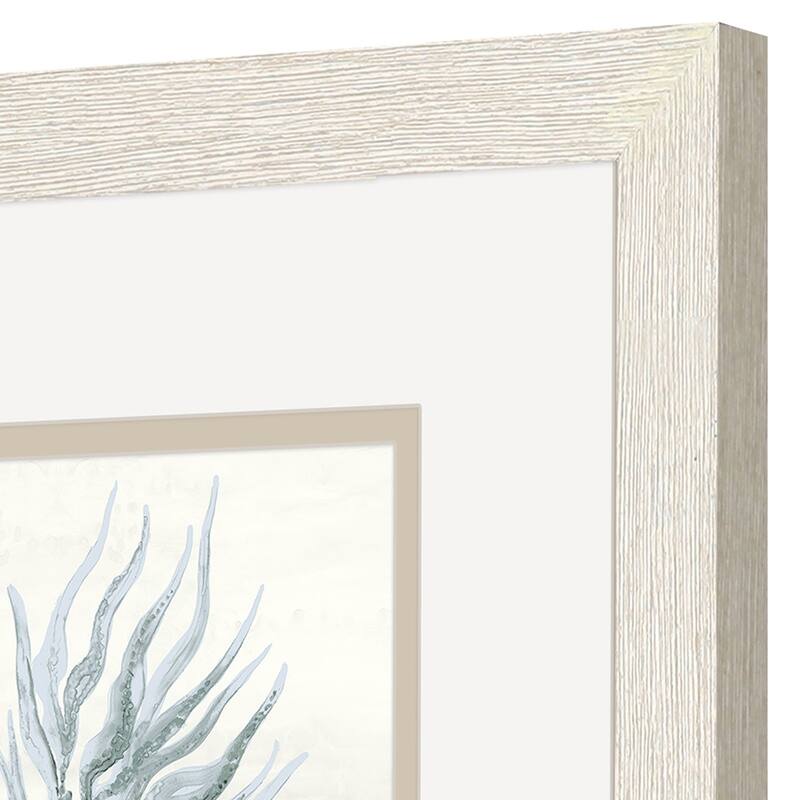 Ocean Flora S/2 Framed Art Under Glass
