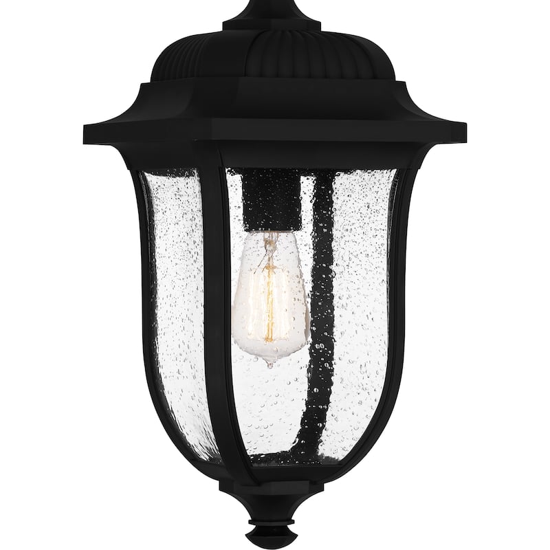 Mulberry 1-Light Matte Black Outdoor Hanging Lantern