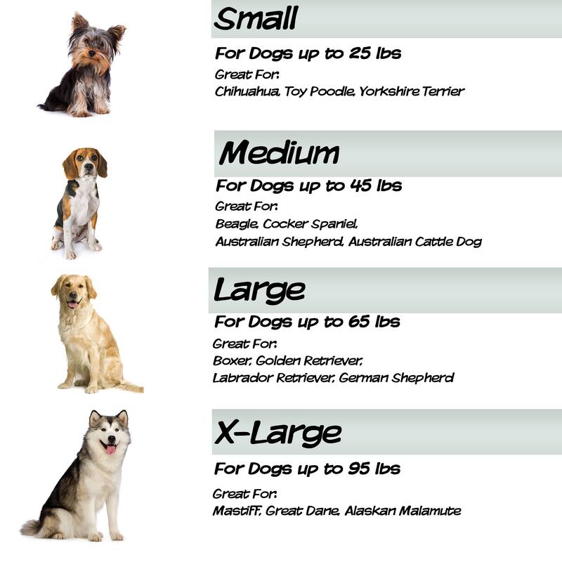 PETMAKER 3'' Foam Pet Bed