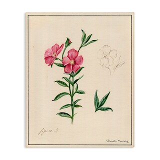 Stupell Science Study Pink Flower Canvas Wall Art Design By Danielle ...