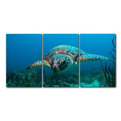 Ready2HangArt 'Turtle' 3-Piece Wrapped Canvas Wall Art Set