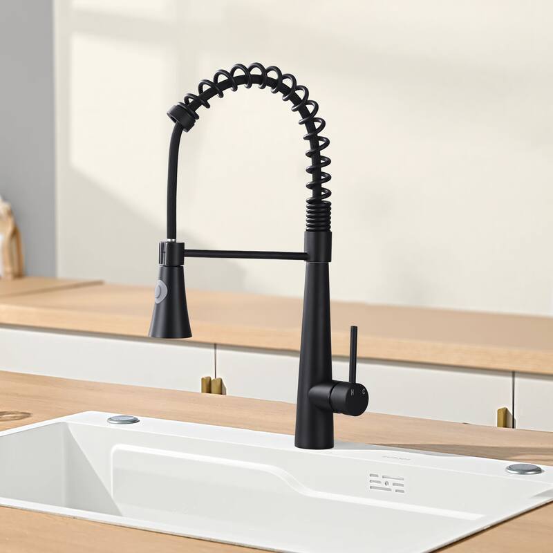 Topcraft Single Handle Pull Down Spring High Arc Kitchen Faucet