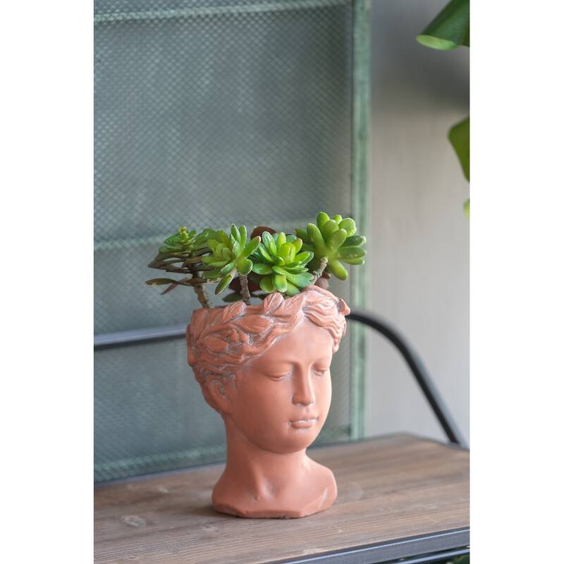 D6x9" Visage Head Bust Planter, Brown