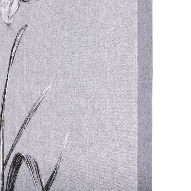 Botanical Sketches II (Grey) (21 x 35) Canvas Art Print
