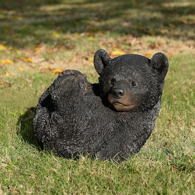 Baby Black Bear Lying