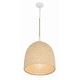 preview thumbnail 7 of 7, Crystorama Lighting Group JSP-10533 Jasper 3 Light 16" Wide Pendant