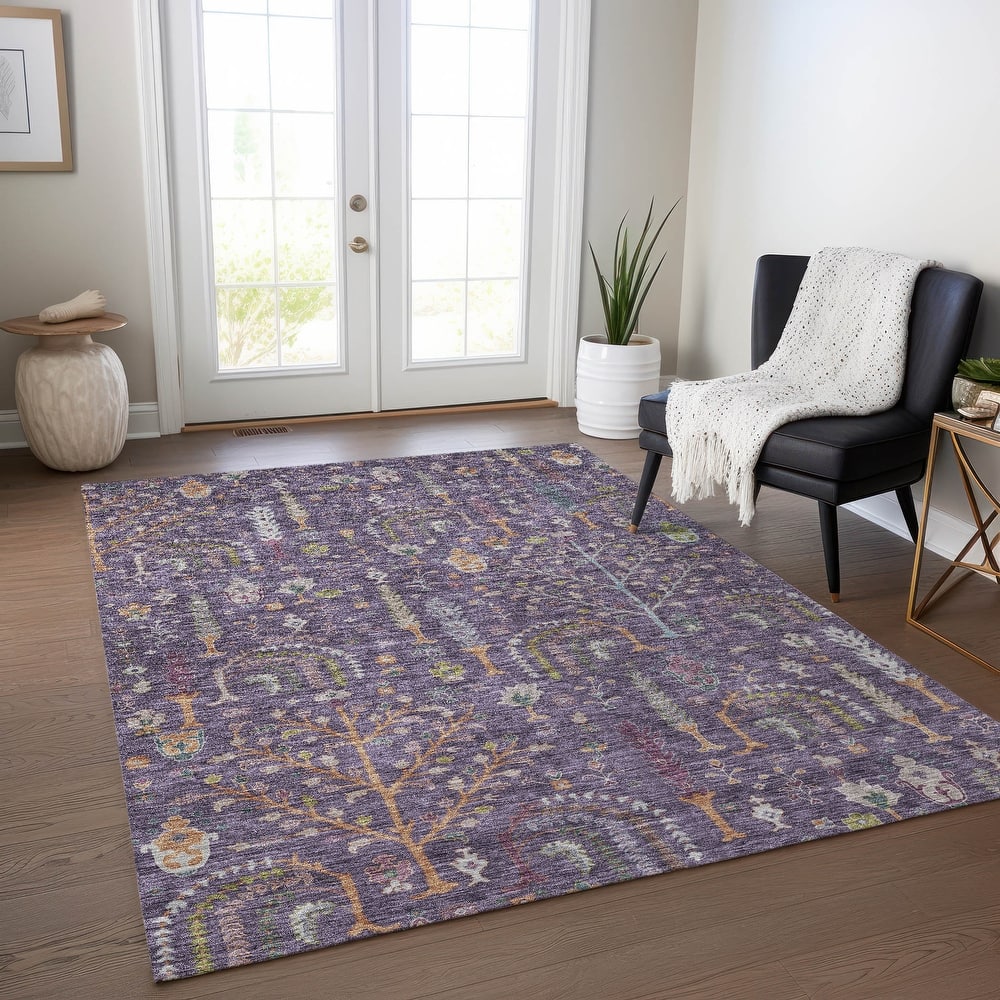 Machine Washable Indoor/ Outdoor Traditional Global Chantille Rug