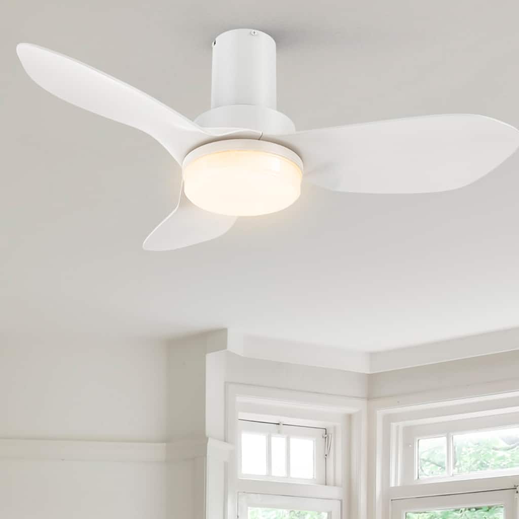 CARRO Chamomile 36" 3-Blade Indoor Smart Ceiling Fan with Light and Remote