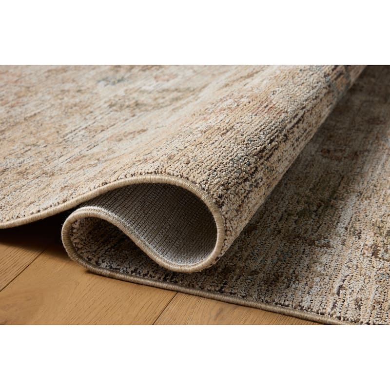 Alexander Home Paloma Traditional Area Rug