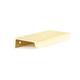 Option Unlacquered Brass