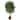 5.5' Super Deluxe Ficus Artificial Tree in Wicker Planter - 11"