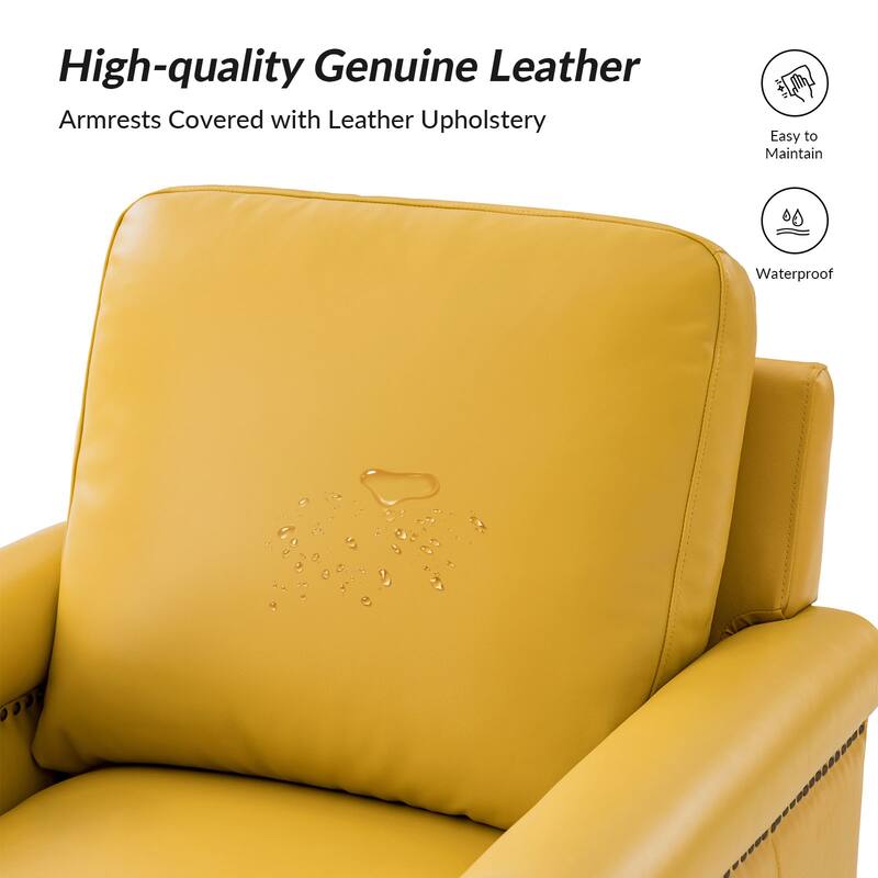 Kunz Transitional Genuine Leather Armchair with Removable Cushion and Nailhead Trims by HULALA HOME