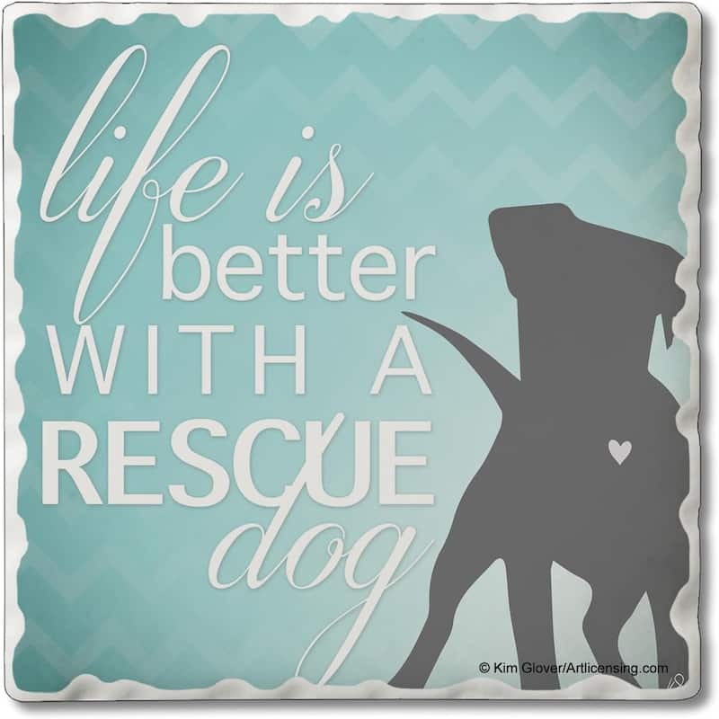 Rescue Dog 4 Pack Absorbent Stone Coaster with Protective Cork Backing Made in The USA 4" Square, Easily Wipes Clean - Multi