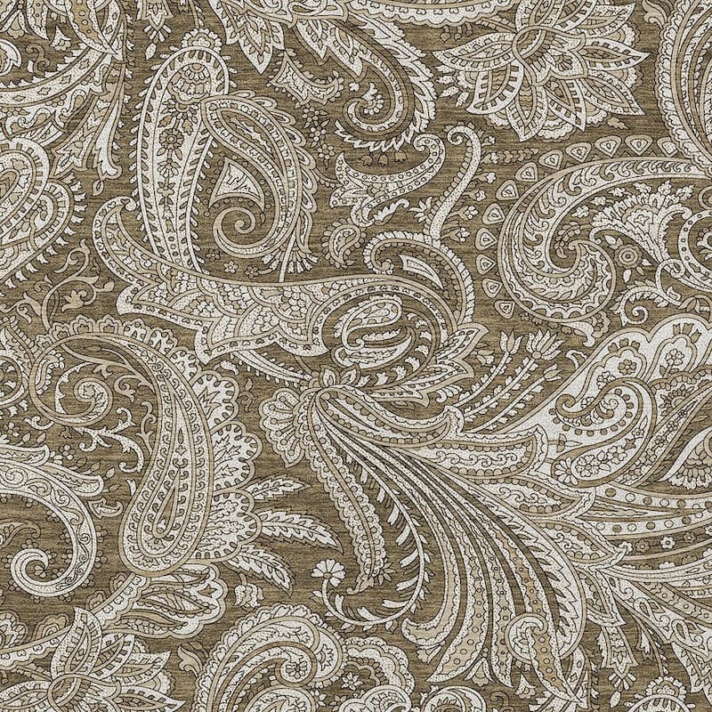 HomeRoots Paisley Transitional Rectangle Outdoor Rug