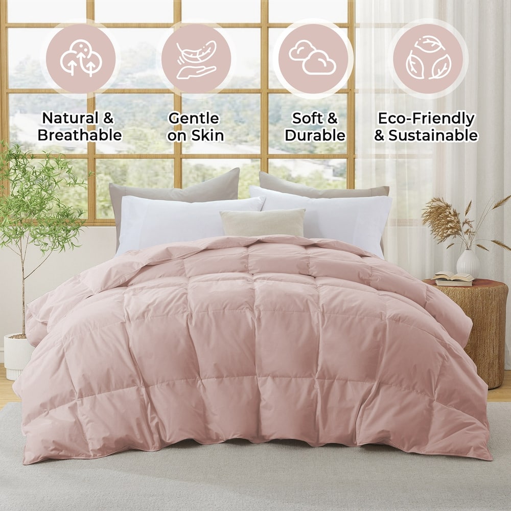 Medium Warmth 300TC Organic Cotton Down Comforter - 100% Natural, Chemical-Free, All Season Duvet Insert