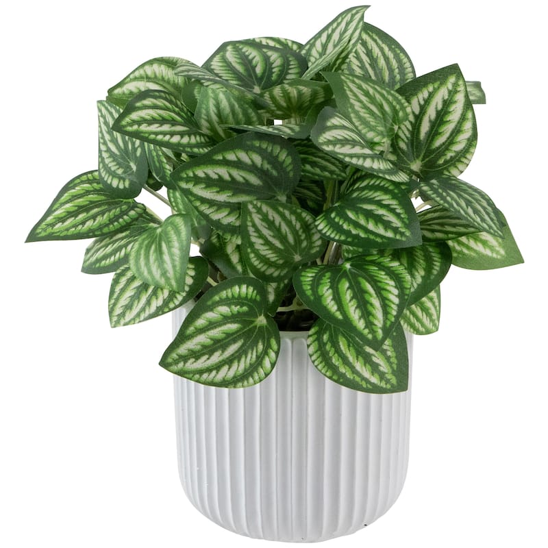 Artificial Watermelon Peperomia Plant in Pot - 6.5"