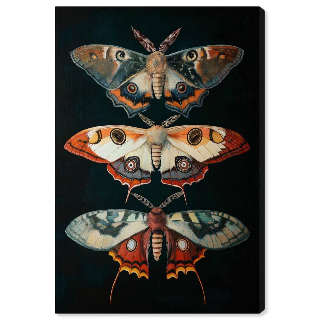 Void's Vivid Visitors Canvas by Art Remedy, Gallery Wrapped