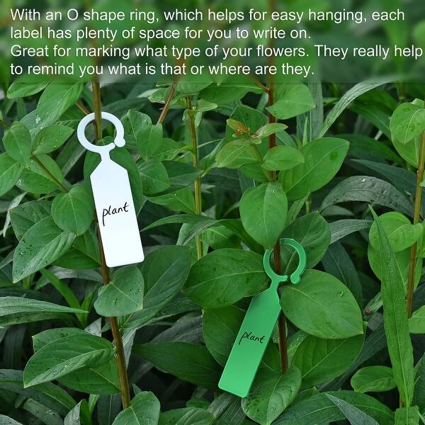 PVC Plant Label Stake 11x2.4cm Water Resistant for Garden Green 100pcs