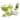 Salad Maker Set with Storage Lids