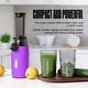 preview thumbnail 31 of 53, Ventray Essential Ginnie Juicer, Compact & Slow, Nutrient Dense