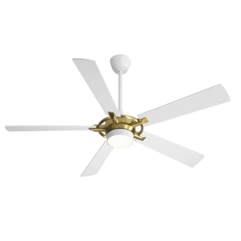 MLiAN 60 In. 5-Plywood Blades Indoor Ceiling Fan with Light Kit and Remote