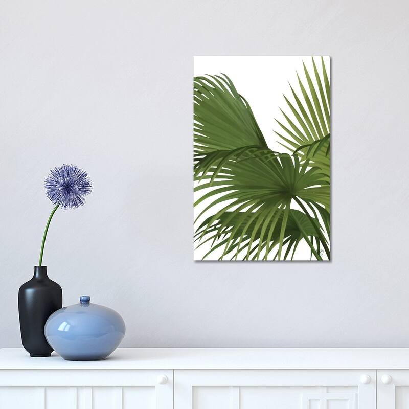 iCanvas "Another Fan Palm II" by Fab Funky Canvas Print - 18x12x1.5