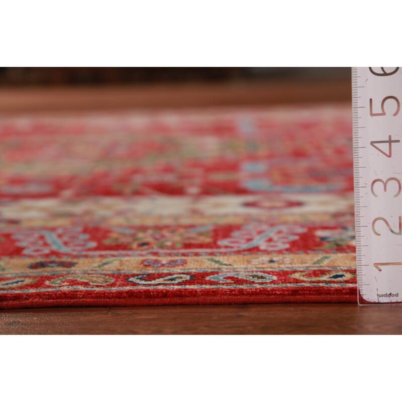 Vegetable Dye Ziegler Area Rug Handmade Oriental Wool Carpet - 6'7"x 9'9"