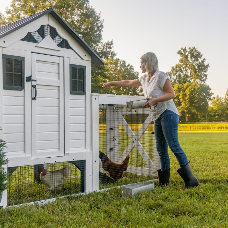 Backyard Discovery Sweetwater Cedar Wooden Chicken Coop, 4-6 Chickens