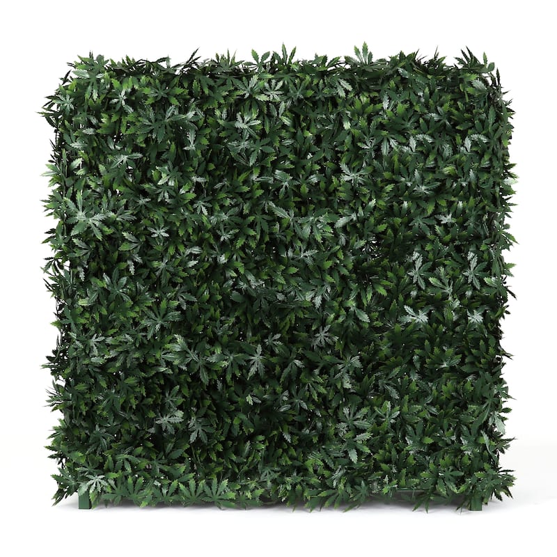 Cannabis Hedge Wall