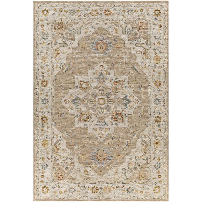 Tereza Updated Traditional Medallion Area Rug