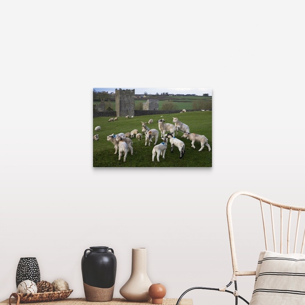 Wallpaper Shop Gambolling Lambs Kells Monastry County Kilkenny Ireland Free