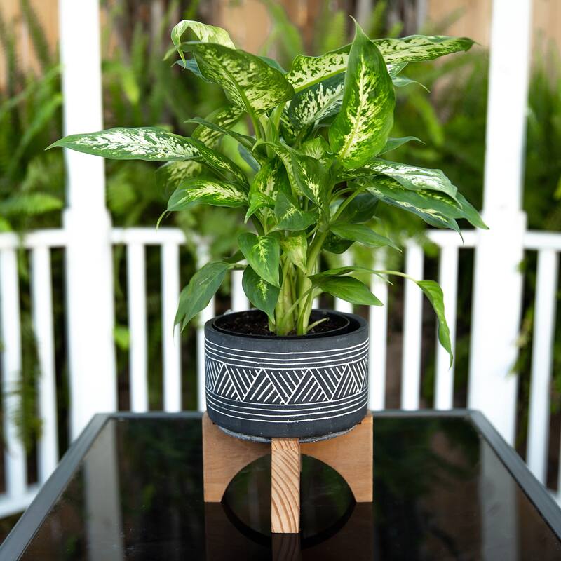 Mid-Century 7" Mountain Cement With Wood Stand