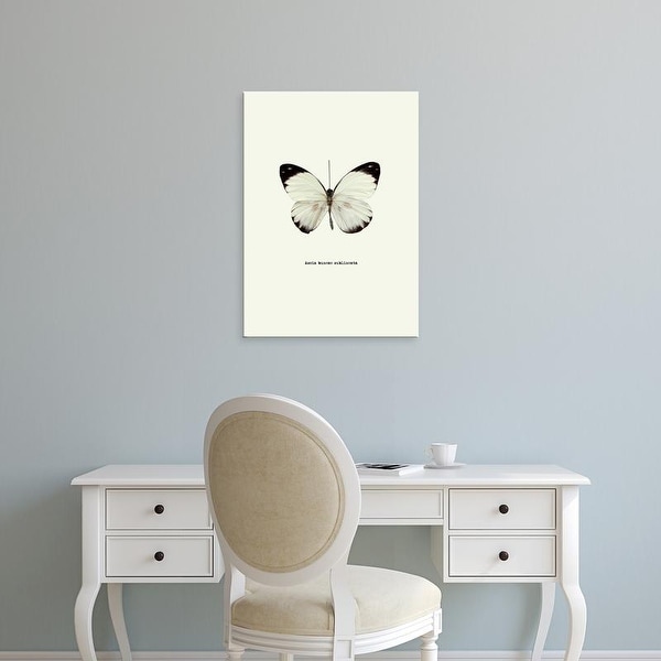 Easy Art Prints GraphINC's 'White Butterfly' Premium Canvas Art