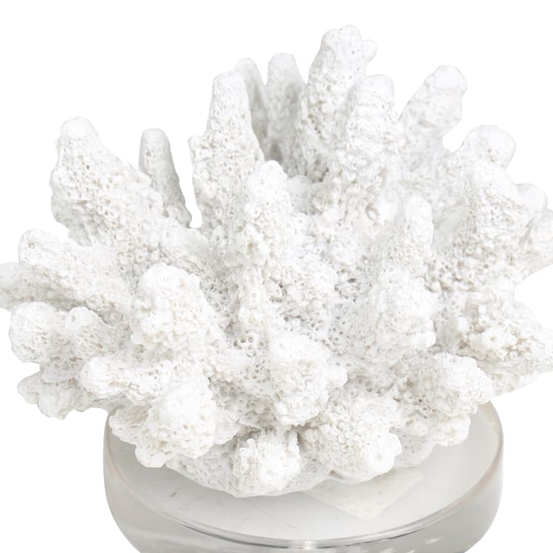 White Polystone Small Textured Coral Decorative Sculpture with Clear Acrylic Base
