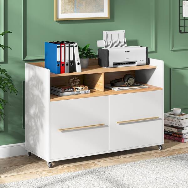 2 Drawer File Rolling Filing for Home Office White