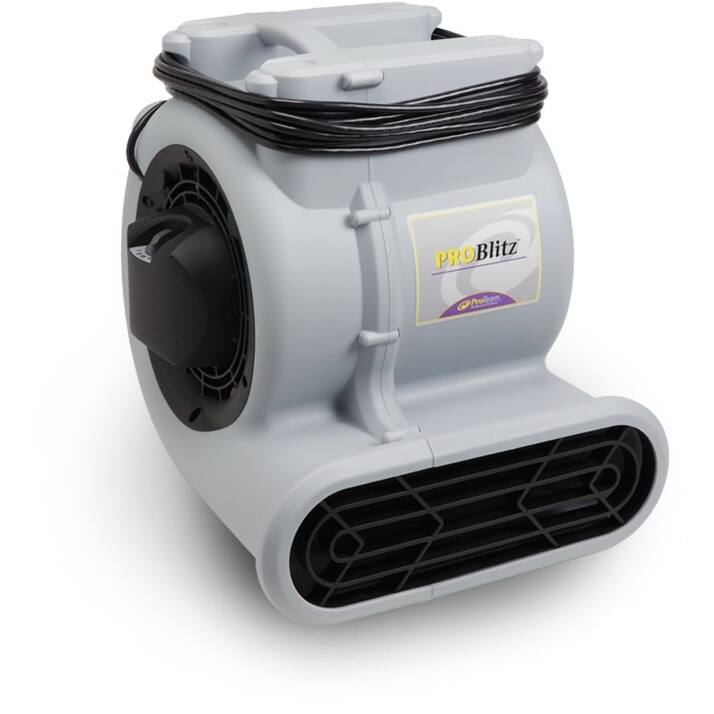 ProTeam ProBlitz Airmover - Black