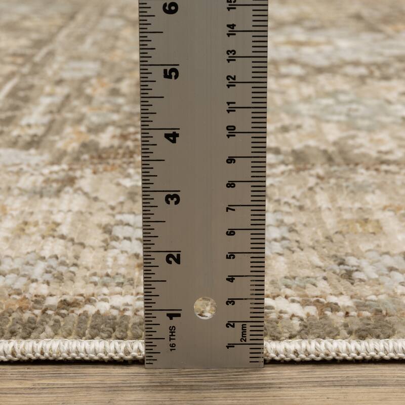 Style Haven Lucia Vintage Floral Medallions Brown/Pale Blue