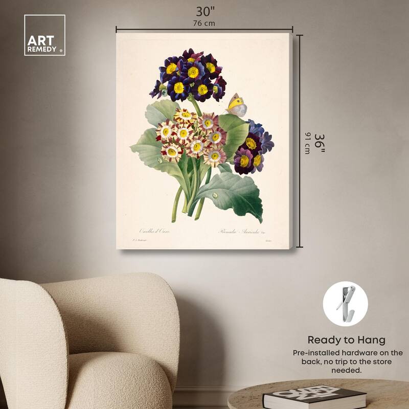 Auricula Varieties Canvas by Art Remedy, Gallery Wrapped