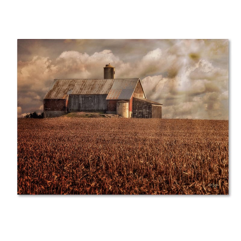 Lois Bryan 'Light for the Farm' Canvas Art